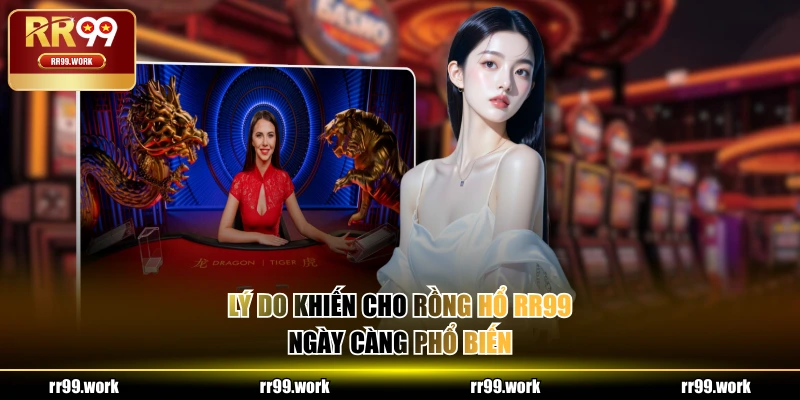 Lý do khiến cho Rồng Hổ RR99 ngày càng phổ biến